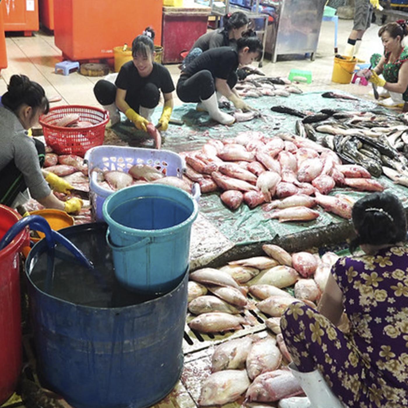 Food,Selling,Staple food,Seafood,Fish,Public space,Market
