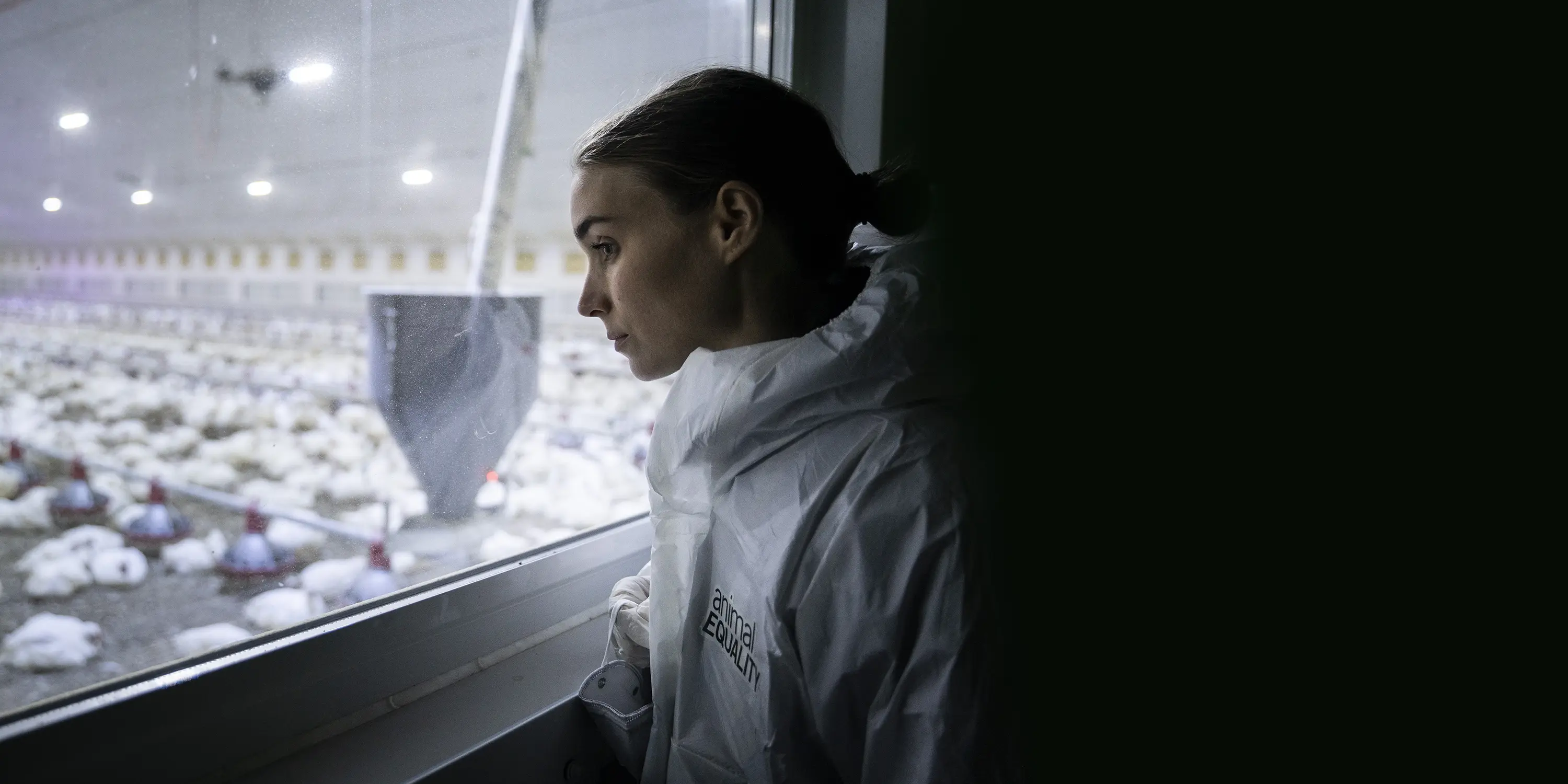 Rooney Mara in a chicken farm