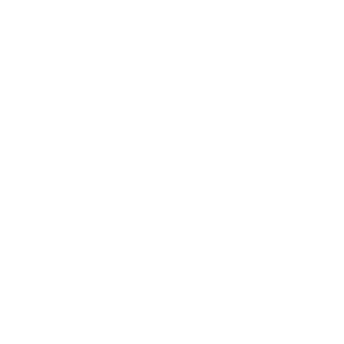 Logo The New York Times